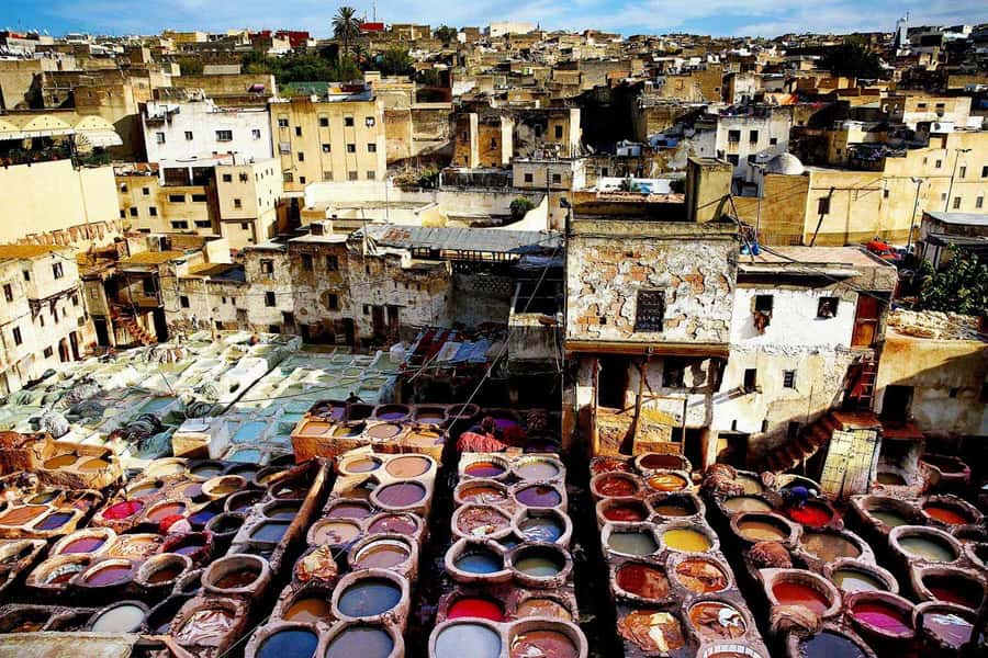 Exclusive Fez Medina Walking Tour with a local Guide - Chouara Tannery and Fez’s traditional leather work