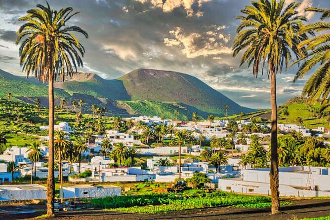Exclusive flexible Lanzarote tour - La Geria and the island’s unusual vineyards