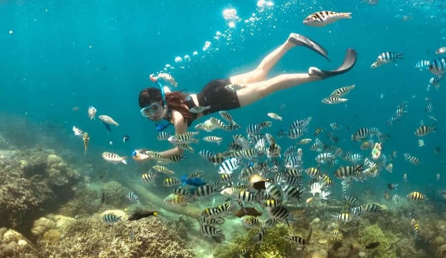 Exclusive Gili Nanggu, Sudak, and Kedis Tour Featuring GoPro - The private format is worth paying for
