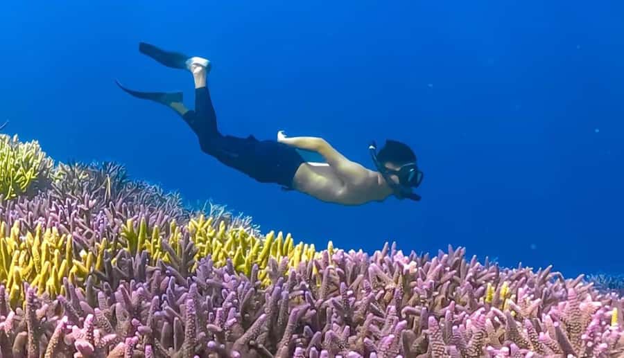 Exclusive Gili Nanggu, Sudak, and Kedis Tour Featuring GoPro - Who should book this Lombok day trip?