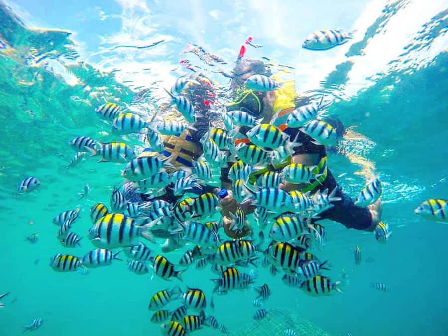 Exclusive Gili Nanggu, Sudak, and Kedis Tour Featuring GoPro - Gili Nanggu: the best water time of the day