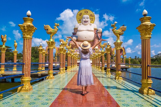 Exclusive Koh Samui: Private Driver & Car Experience - Van or 4WD: which should you choose?