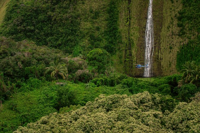 Exclusive Landing with Spectacular Big Island Helicopter Tour - Weather, cancellations, and possible changes