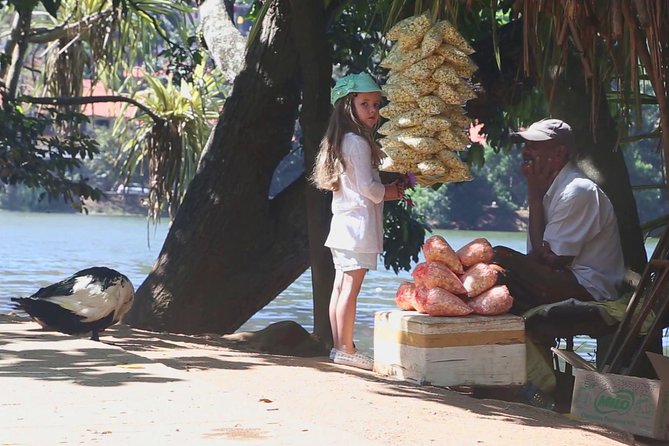 Exclusive : Last Kingdom Private Day Tour in Kandy - Lunch at Oakray Restaurant