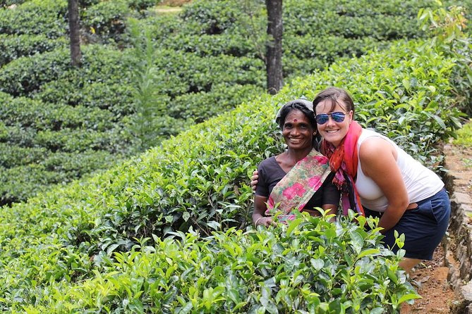 Exclusive : Last Kingdom Private Day Tour in Kandy - Who should book this private Kandy tour?