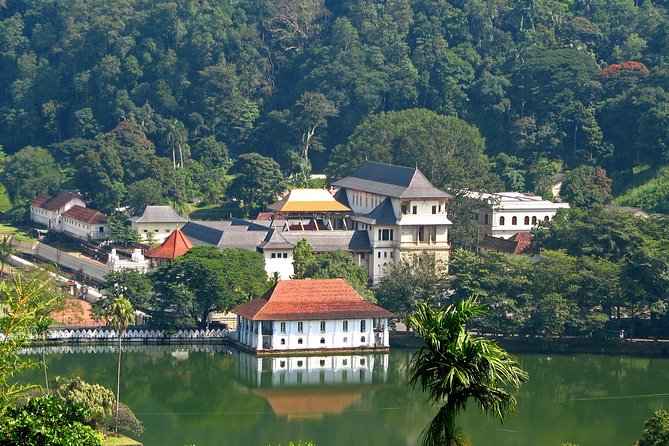 Exclusive : Last Kingdom Private Day Tour in Kandy - Giragama Tea Factory and the story behind Ceylon tea