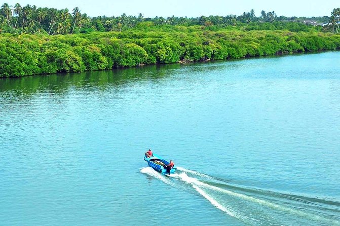 Exclusive: Muthurajawela Bird Watching Tour with Transfers - Bird watching without a guaranteed checklist