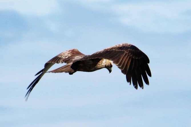 Exclusive: Muthurajawela Bird Watching Tour with Transfers - The tuk-tuk ride from your Negombo hotel