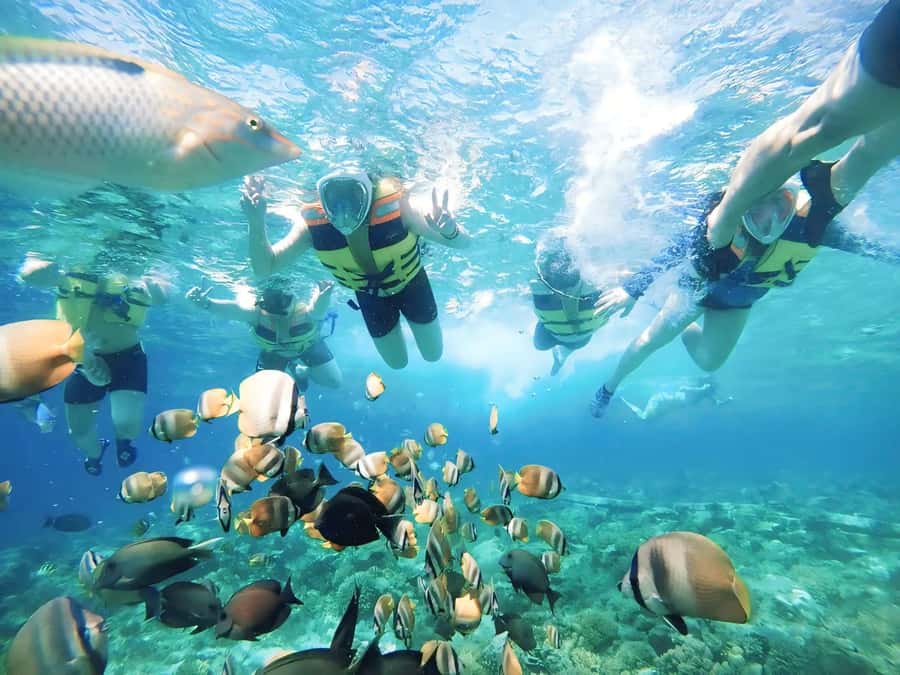 Exclusive One-Day Tour to Lombok's Pink Beach and 3 Gilis - Key points to know before booking