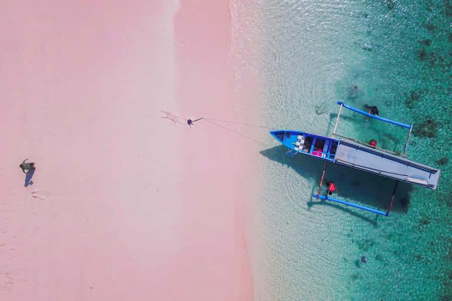 Exclusive One-Day Tour to Lombok's Pink Beach and 3 Gilis - One long day from Lombok’s roads to Tanjung Luar