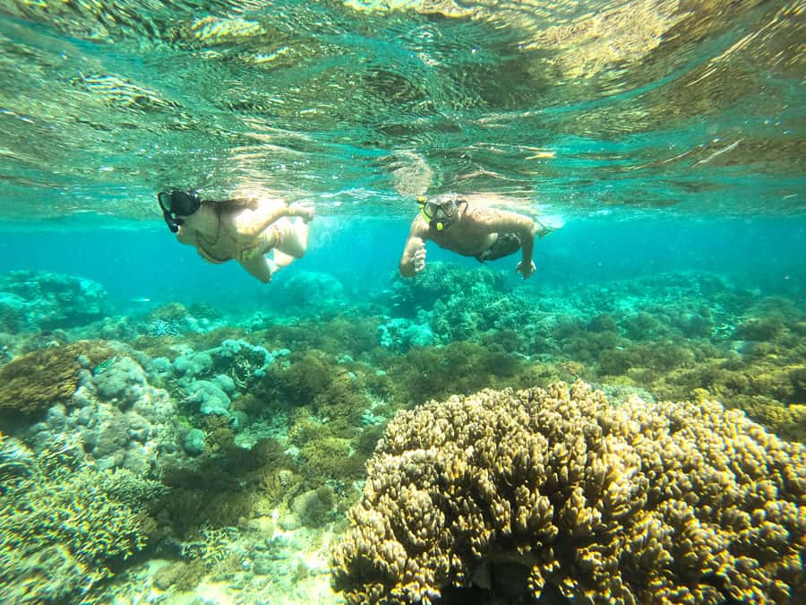 Exclusive One-Day Tour to Lombok's Pink Beach and 3 Gilis - Pink Beach 2 is a final quiet pause