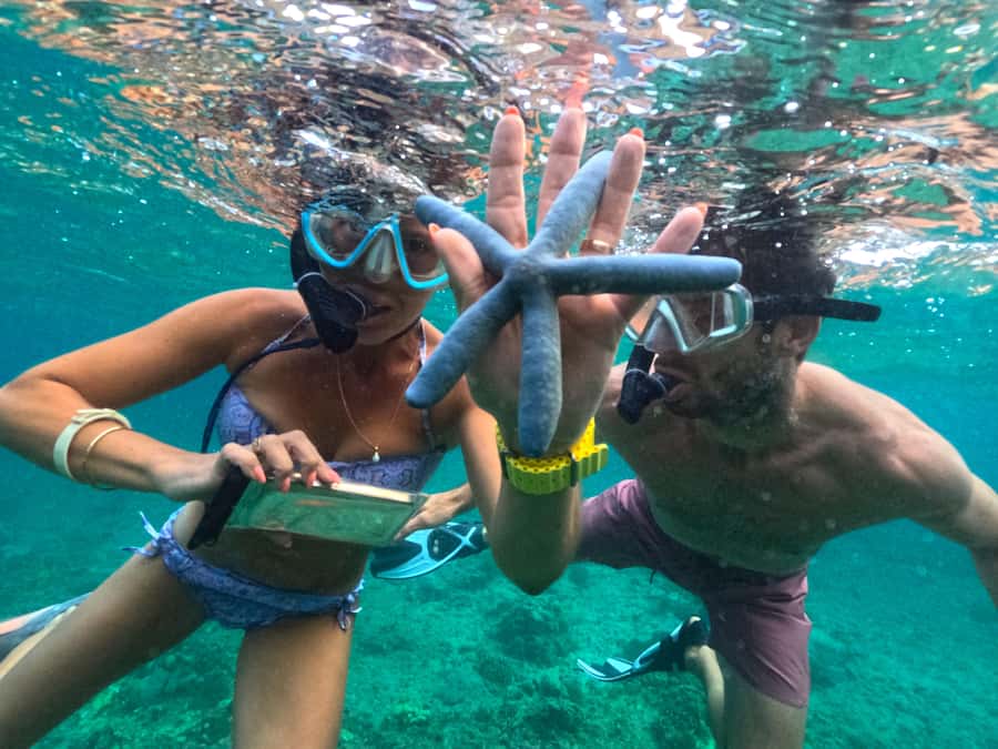 Exclusive One-Day Tour to Lombok's Pink Beach and 3 Gilis - What the $56 price really covers