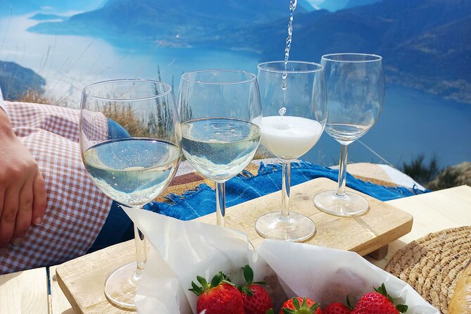 Exclusive Picnic in the Foothills of the Alps with the Lake Views - Who will enjoy this most