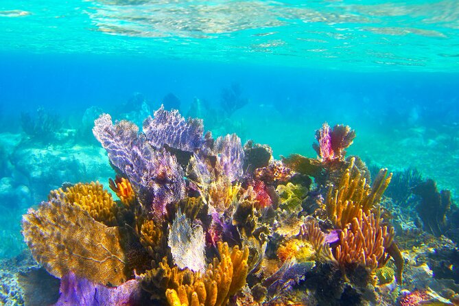 Exclusive Private Boat to El Cielo - Why El Cielo makes this four-hour trip special