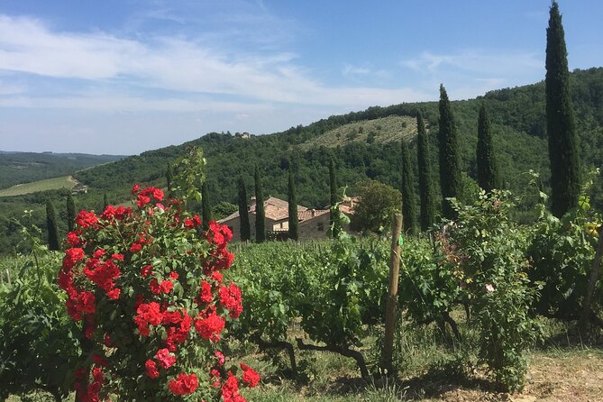 Exclusive Private tour To Siena and San Gimignano - Lunch, wine, and the real cost of the day