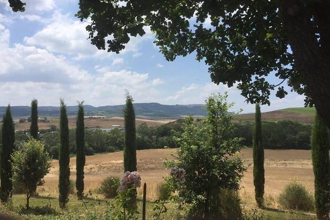 Exclusive Private Tuscany Wine Tour & Food Pairing Session - A private route from Florence into Chianti