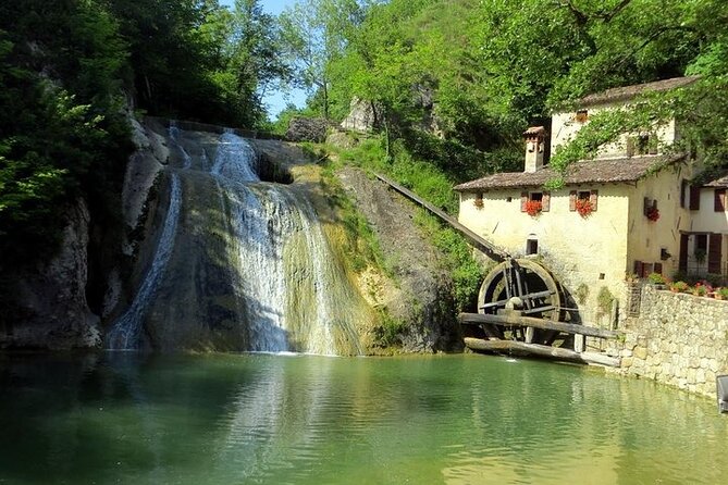 Exclusive Prosecco Wine Tour from Venice - Small Group - The wine lineup: from brut to rosé