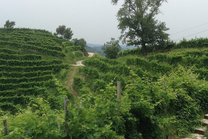 Exclusive Prosecco Wine Tour from Venice - Small Group - What the $199 price really covers