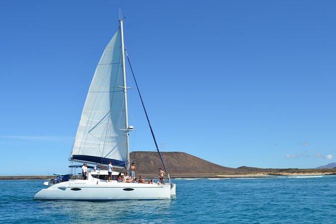 Exclusive Sailing Catamaran Experience to Lobos Island with lunch - Is $84.33 good value?