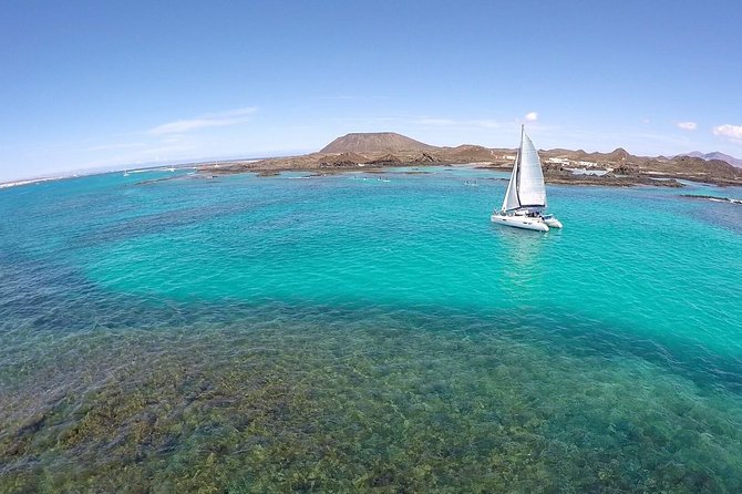 Exclusive Sailing Catamaran Experience to Lobos Island with lunch - Who should book this boat trip?