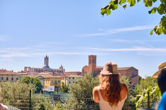 Exclusive Siena and San Gimignano Tour & Chianti Wine Experience - Chianti wine tasting with Tuscan food