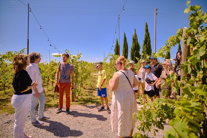 Exclusive Siena and San Gimignano Tour & Chianti Wine Experience - Siena and Piazza del Campo: the day’s best city stop