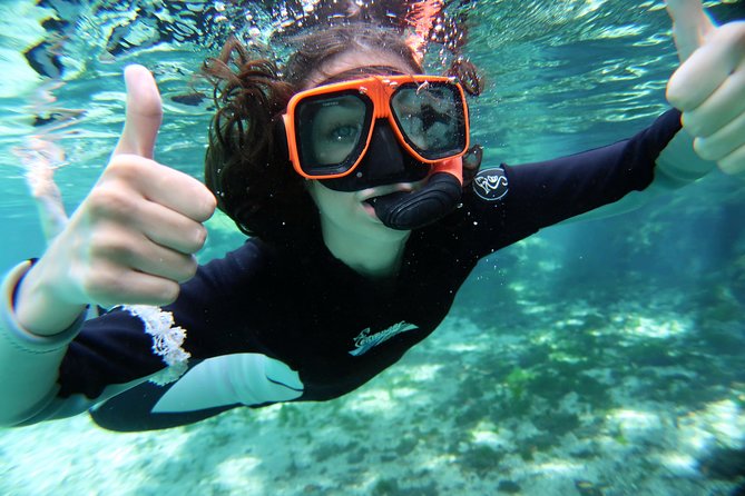 Exclusive Small Group VIP Heated Manatee Snorkel Tour - Photos, videos, and staying present