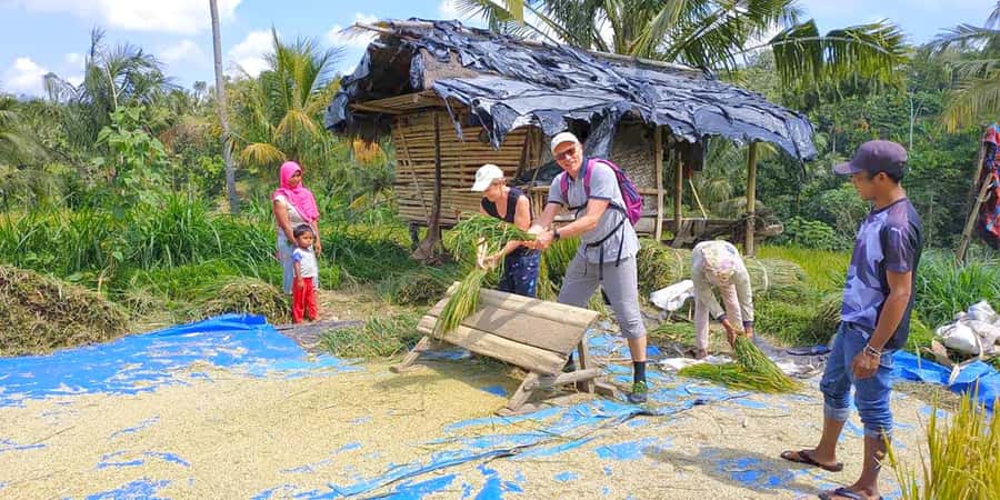 Exclusive Tetebatu: Waterfall, Rice Fields, Monkey & Weaving - At a glance