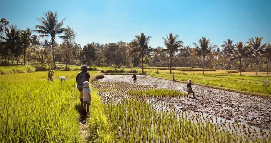 Exclusive Tetebatu: Waterfall, Rice Fields, Monkey & Weaving - Cooling off at Sarang Walet Waterfall