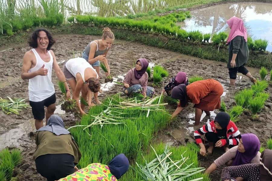 Exclusive Tetebatu: Waterfall, Rice Fields, Monkey & Weaving - Seeing the looms at Sukarara Village