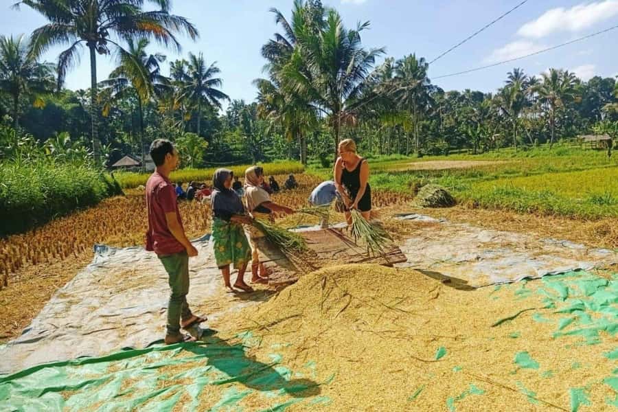 Exclusive Tetebatu: Waterfall, Rice Fields, Monkey & Weaving - Guides, drivers, and the private format