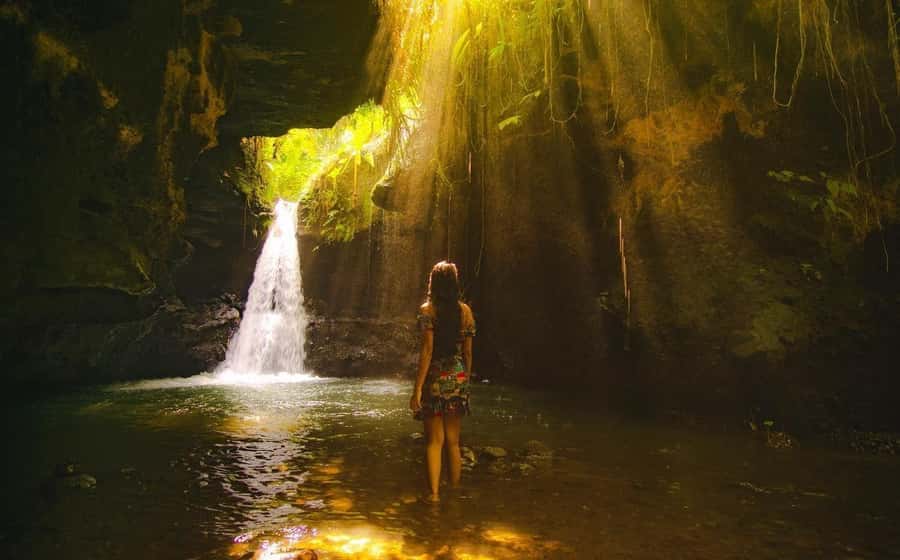 Exclusive Tetebatu: Waterfall, Rice Fields, Monkey & Weaving - What the $39 price really covers