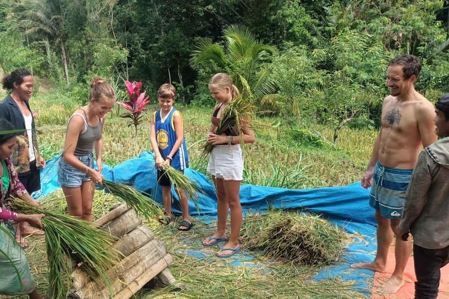 Exclusive Tetebatu: Waterfall, Rice Fields, Monkey & Weaving - Who should book this day out
