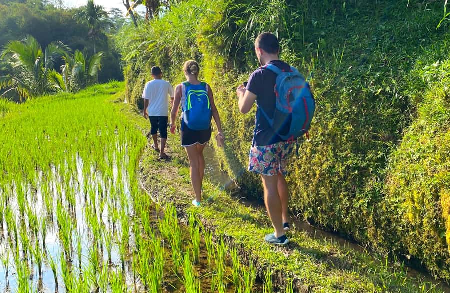 Exclusive Tetebatu: Waterfall, Rice Fields, Monkey & Weaving - Walking the rice fields around Tetebatu