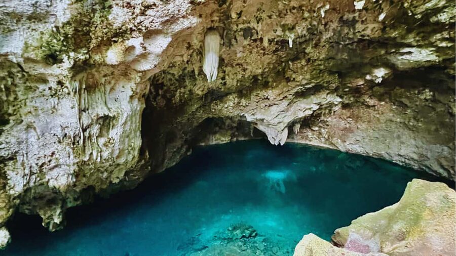 Exclusive VIP Excursion: Santo Domingo from Punta Cana – Private Service - Should you book the Santo Domingo private excursion?
