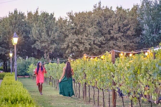 Exclusive Winery Tour with Tasting and Dinner in Chianti vineyard - Key points before you book