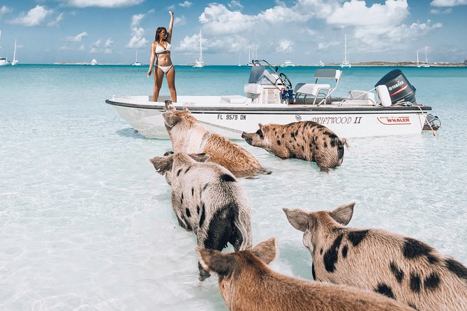 Exuma Elite Escape: Luxury Fly-In Pig Beach Adventure - 7 Stops - Why the Nassau to Exuma flight matters