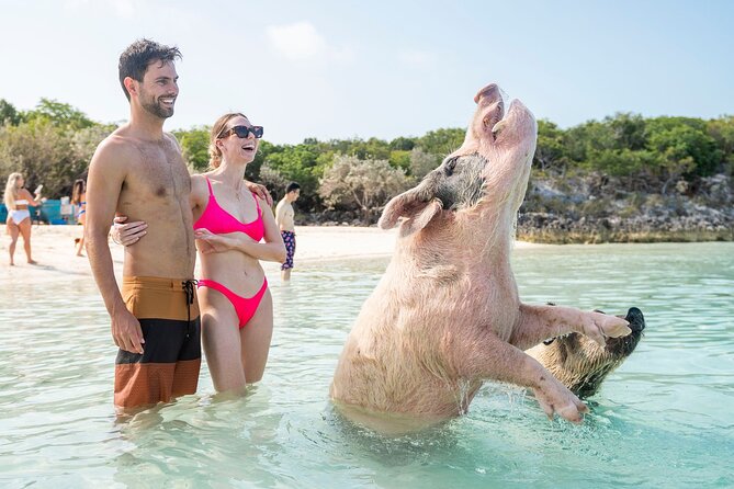Exuma Elite Escape: Luxury Fly-In Pig Beach Adventure - 7 Stops - Great Guana Cay and its waiting iguanas