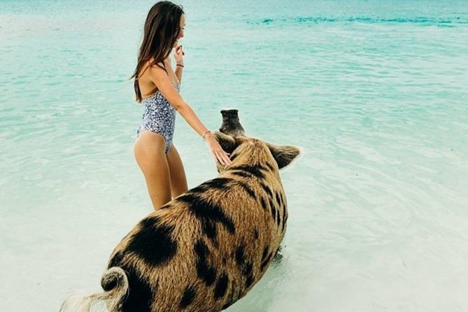 Exuma Elite Escape: Luxury Fly-In Pig Beach Adventure - 7 Stops - Thunderball Grotto, a James Bond snorkeling site