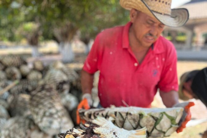 Finca 18 Puerto Vallarta Tequila Tour + Chocolate Pairing - A family ranch far from the hotel strip