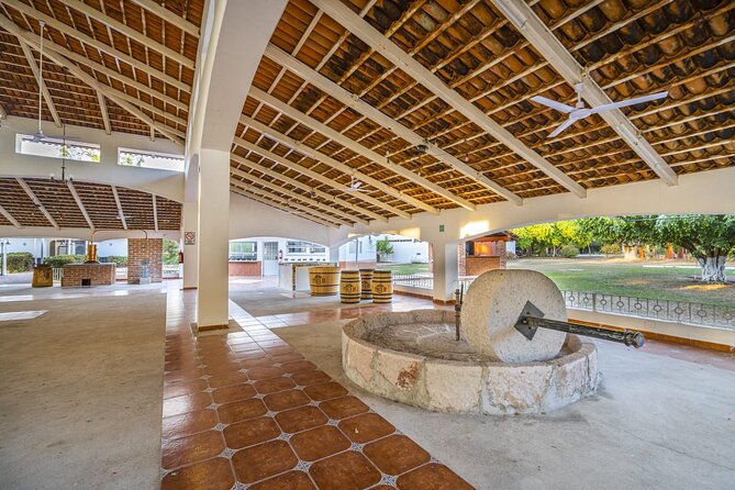 Finca 18 Puerto Vallarta Tequila Tour + Chocolate Pairing - Friendly hosts, dogs, and a relaxed pace