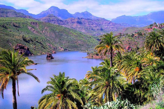 Firgas, Tejeda, Guayadeque - VIP Tour Gran Canaria - Fataga, Tunte viewpoint, and the Valley of the Thousand Palms