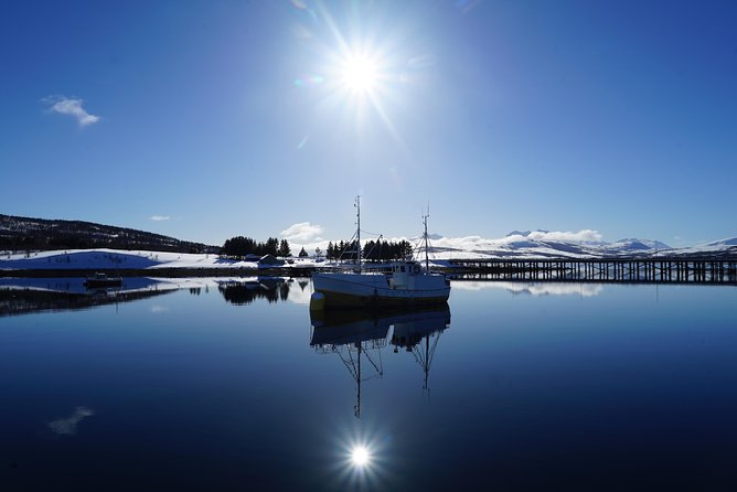 Fjordcruise in a Luxury Yacht Arctic Queen - A small yacht cruise with a very specific Tromsø story