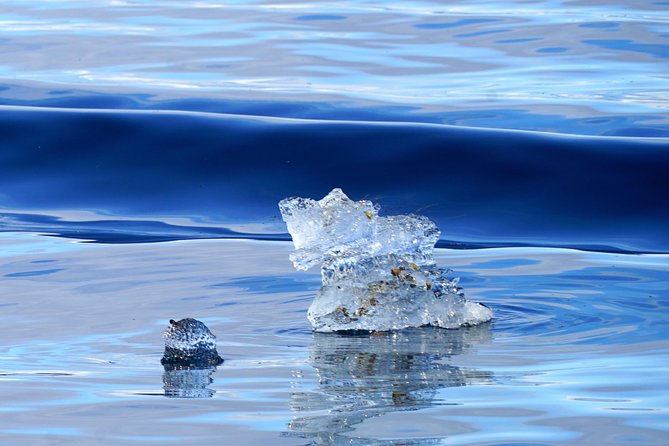 Fjordcruise in a Luxury Yacht Arctic Queen - Who will enjoy the Arctic Queen most?