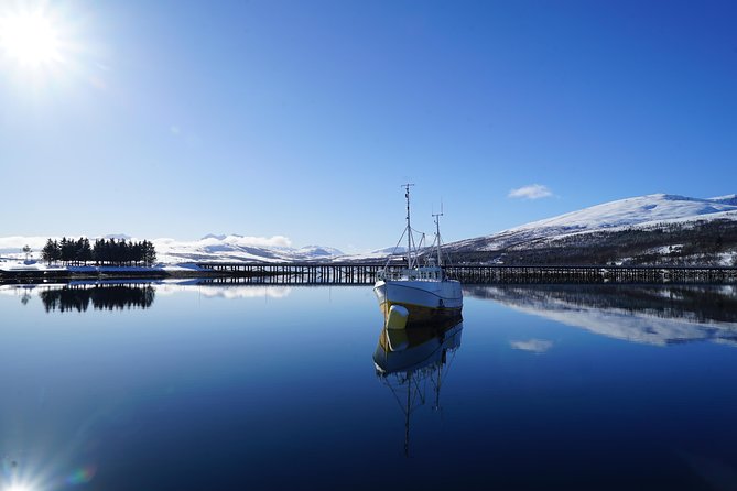 Fjordcruise in a Luxury Yacht Arctic Queen - What you see around the Tirpitz area