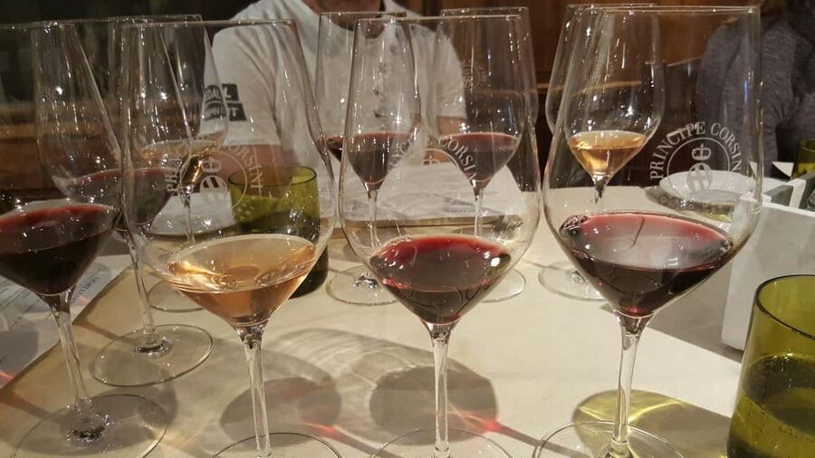 Florence: Exclusive Chianti Wine Tour at 3 Wineries & Lunch - The third vineyard brings the widest views