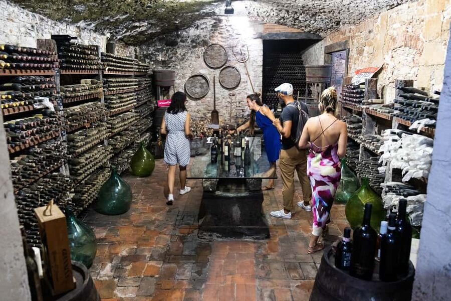 Florence: Exclusive Chianti Wine Tour at 3 Wineries & Lunch - What the small group changes