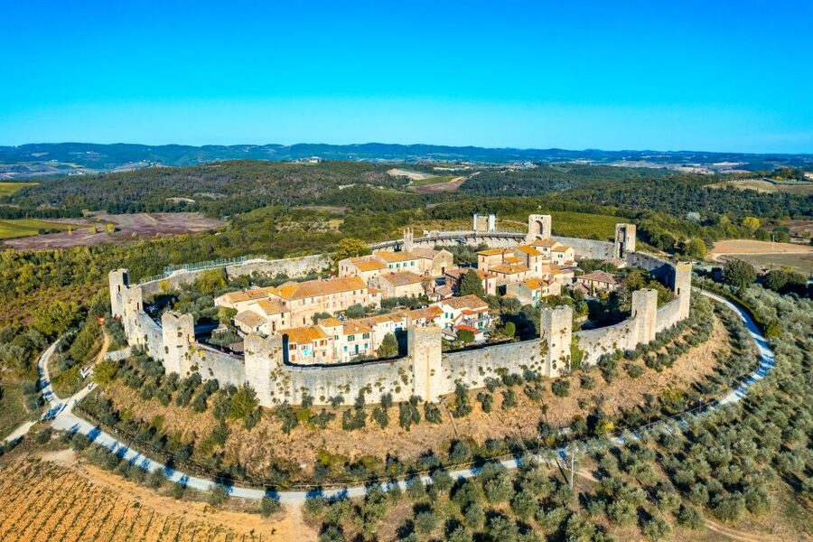 Florence: Siena San Gimignano Private Day Tour by Deluxe Car - The driver escort and level of guiding