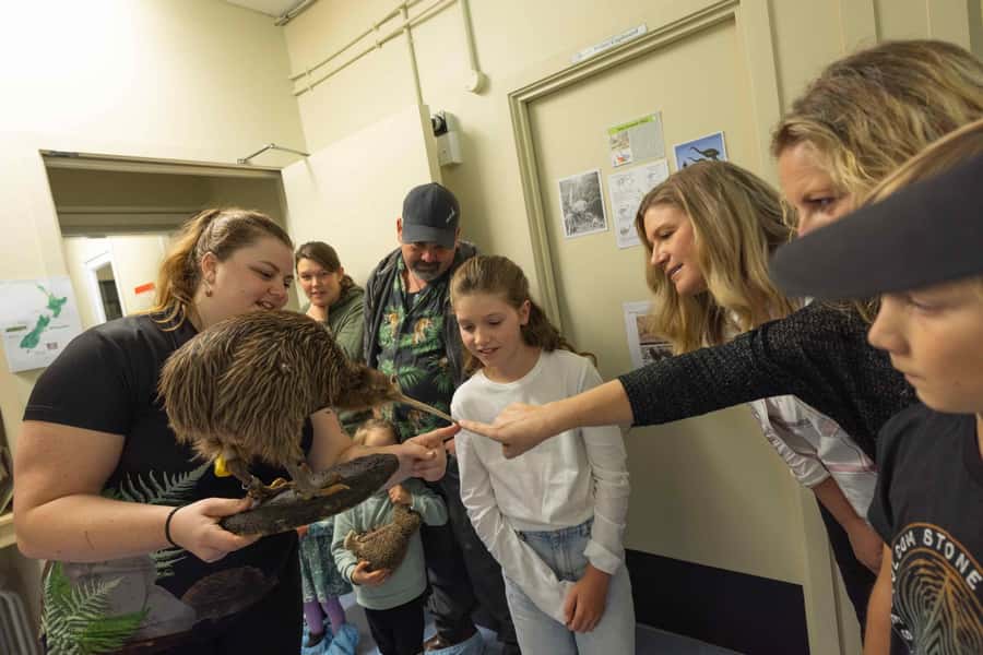 Franz Josef: Kiwi VIP Backstage Pass Tour -Booking Essential - The Tuatara Encounter