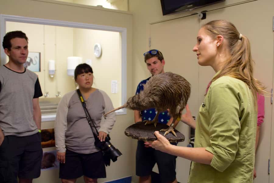 Franz Josef: Kiwi VIP Backstage Pass Tour -Booking Essential - Who should book this experience?